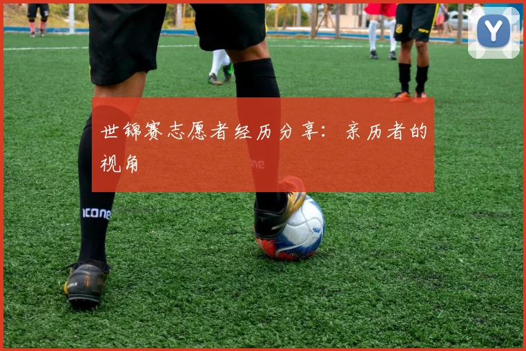 世锦赛志愿者经历分享：亲历者的视角
