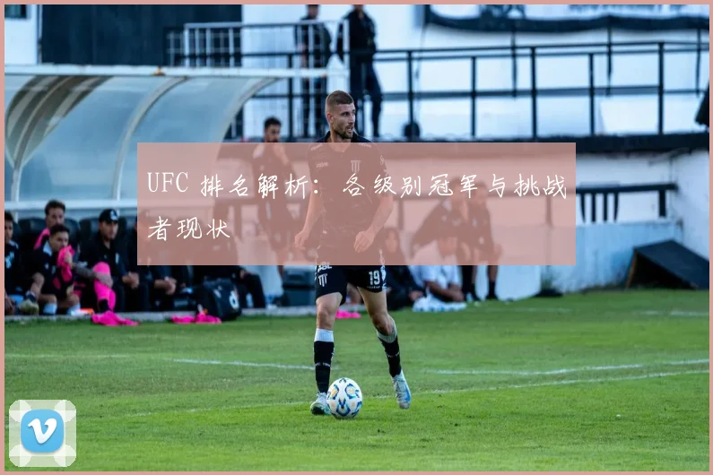 UFC 排名解析：各级别冠军与挑战者现状