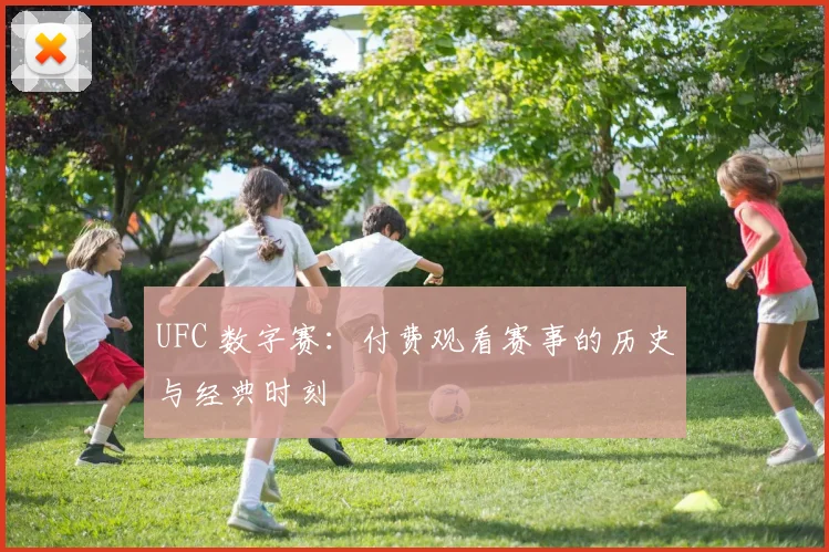 UFC 数字赛：付费观看赛事的历史与经典时刻